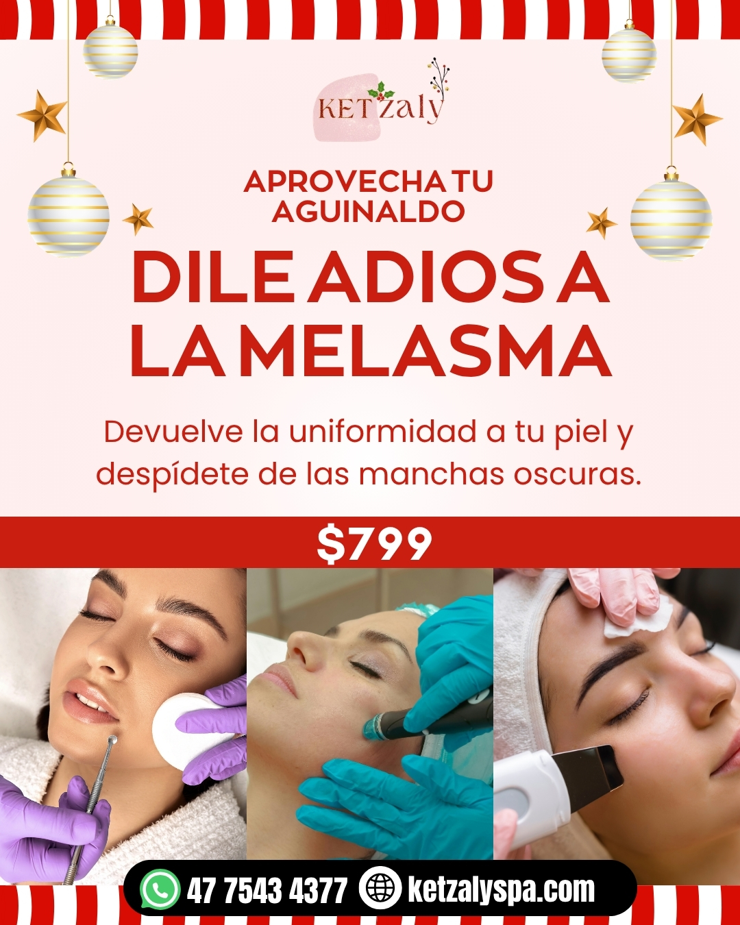 Diseño 21