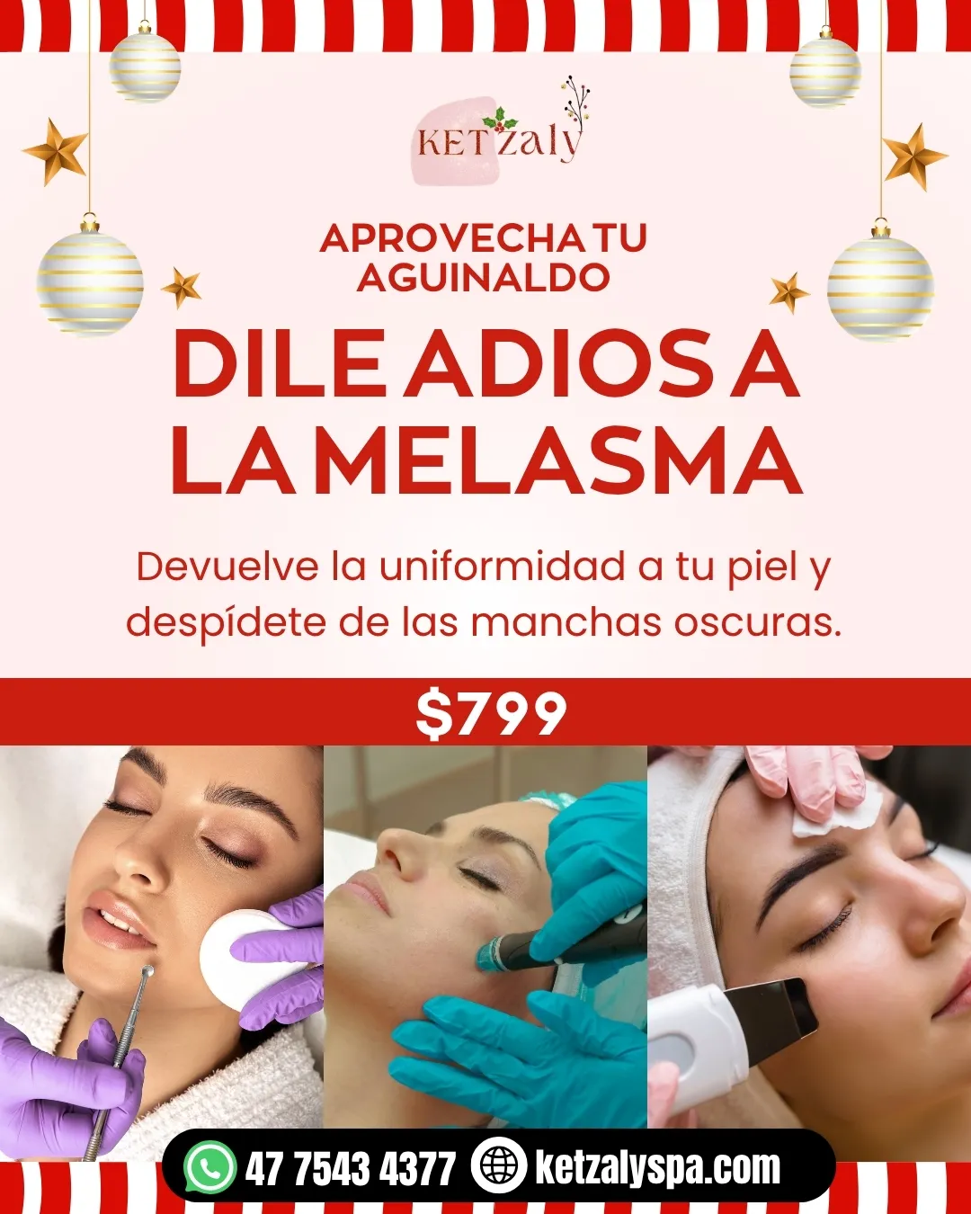 Diseño 21