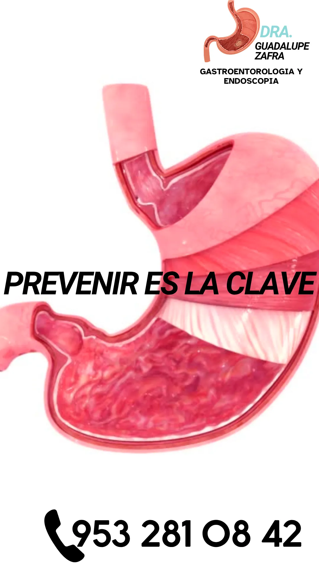 Diseño 20