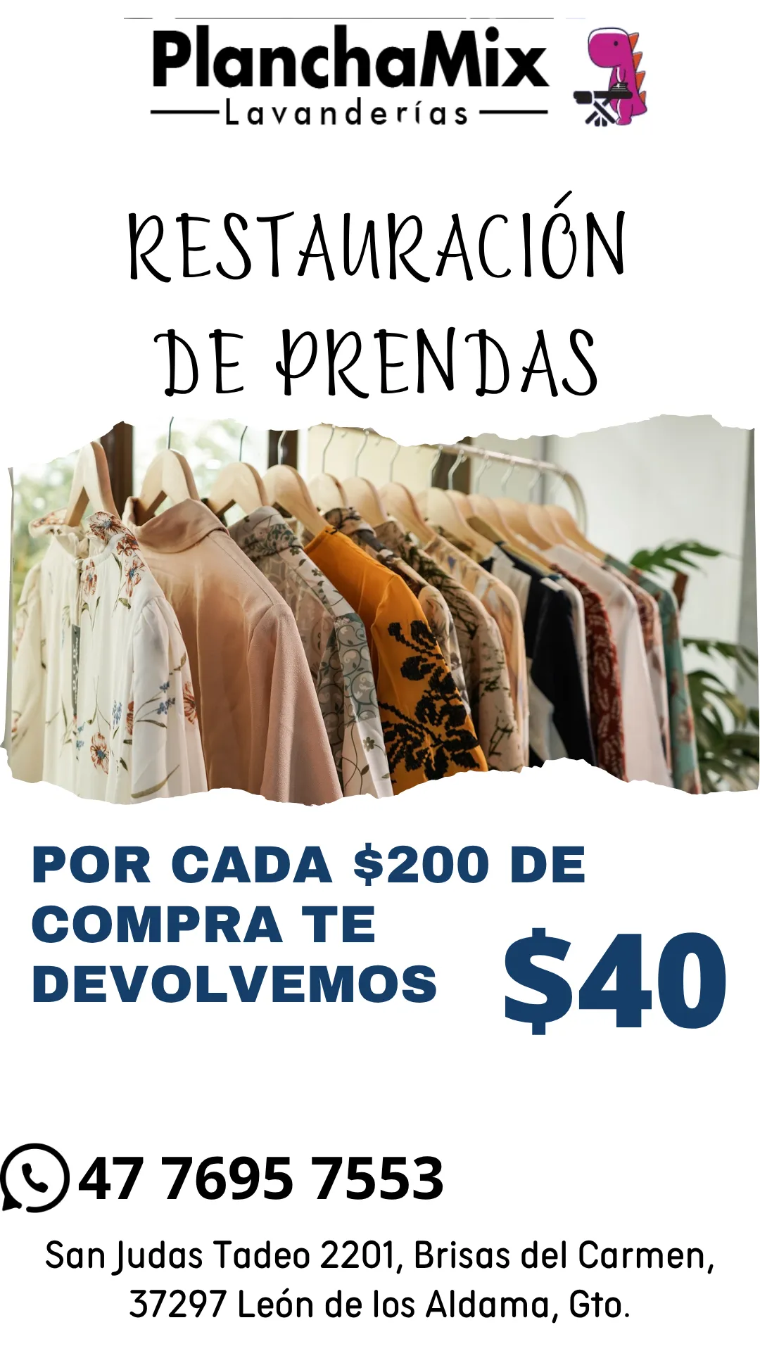 Diseño 61