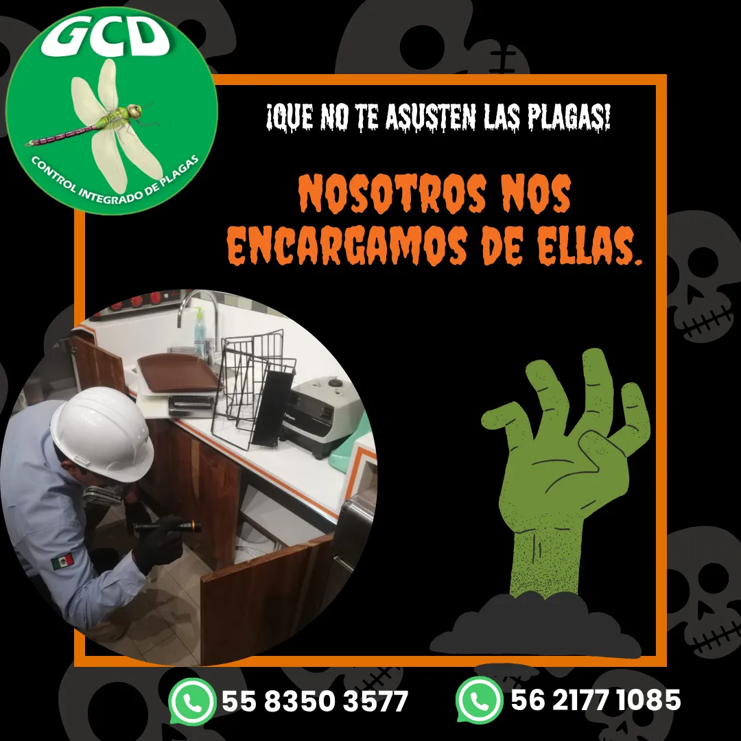 Diseño 126