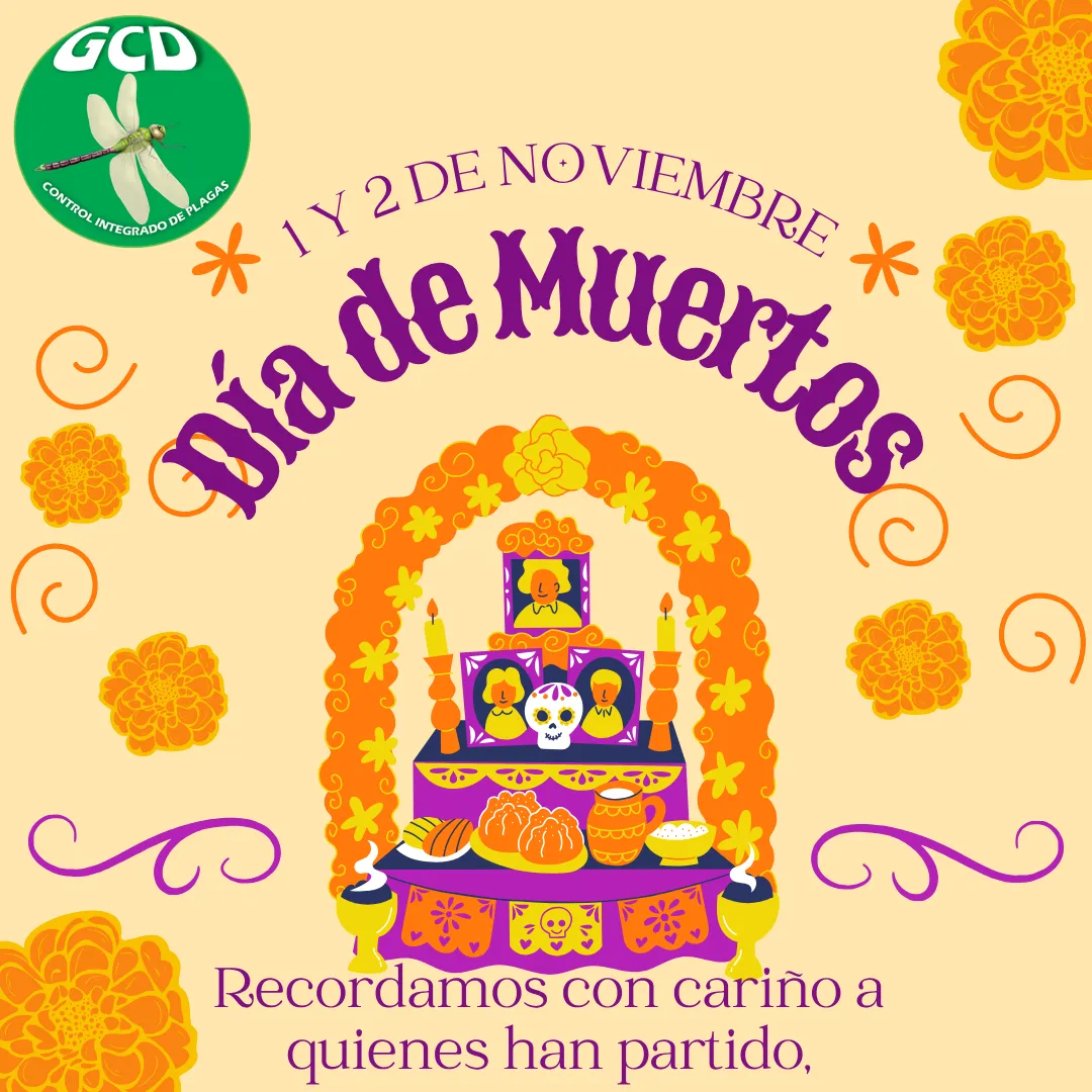 Diseño 129