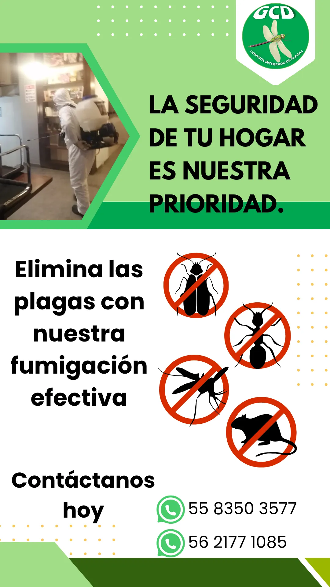 Diseño 46