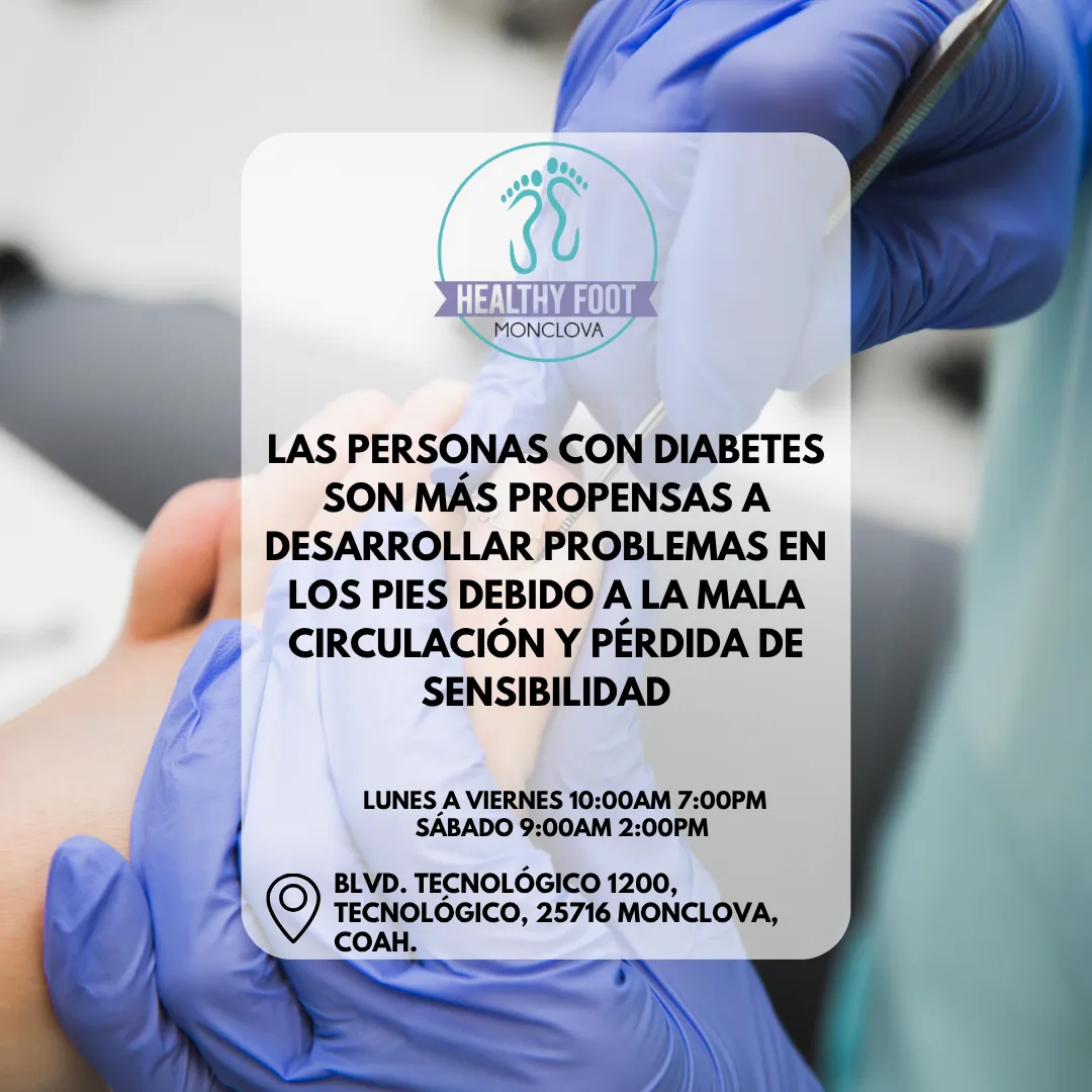 Diseño 72