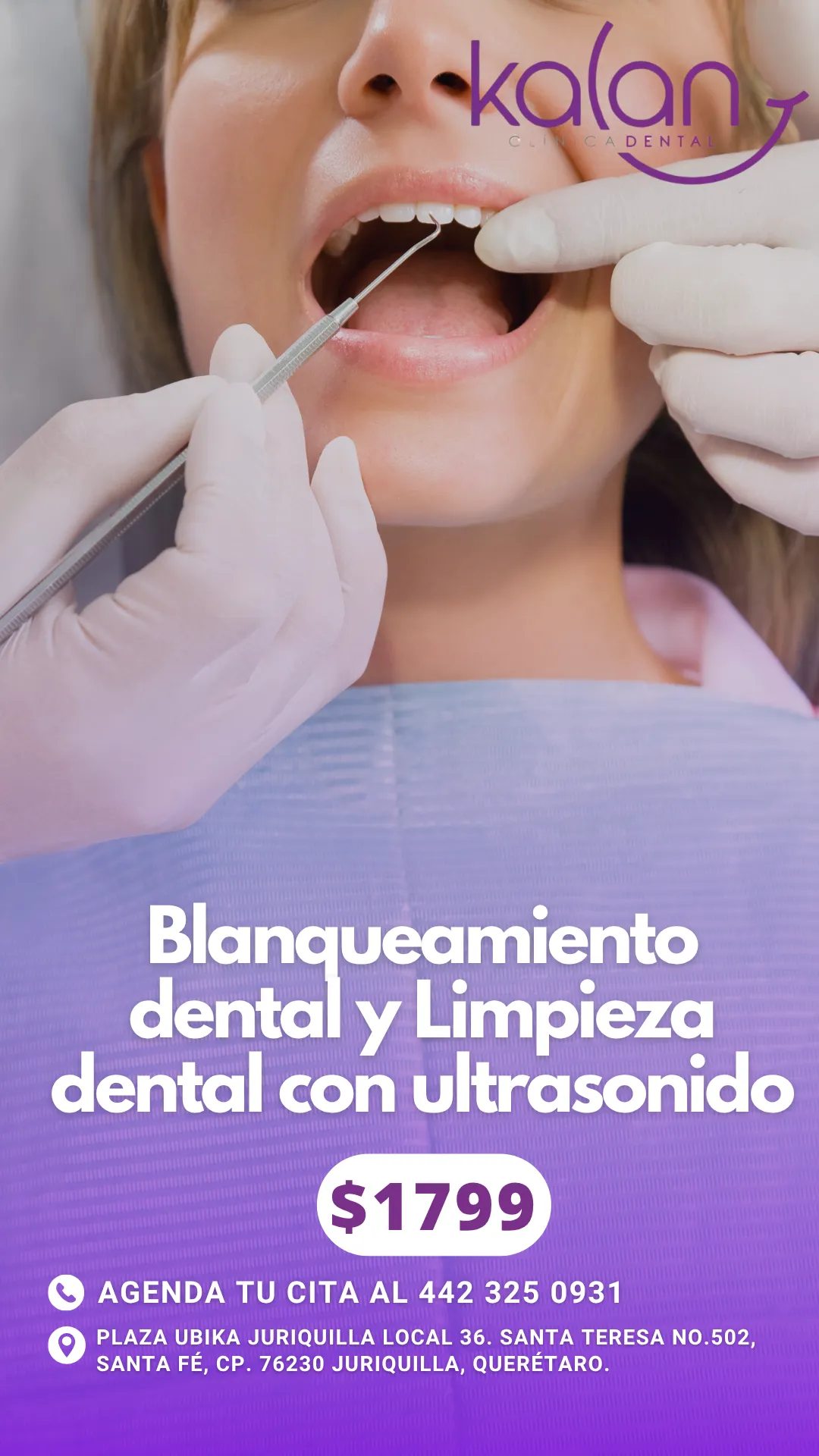 Diseño 11