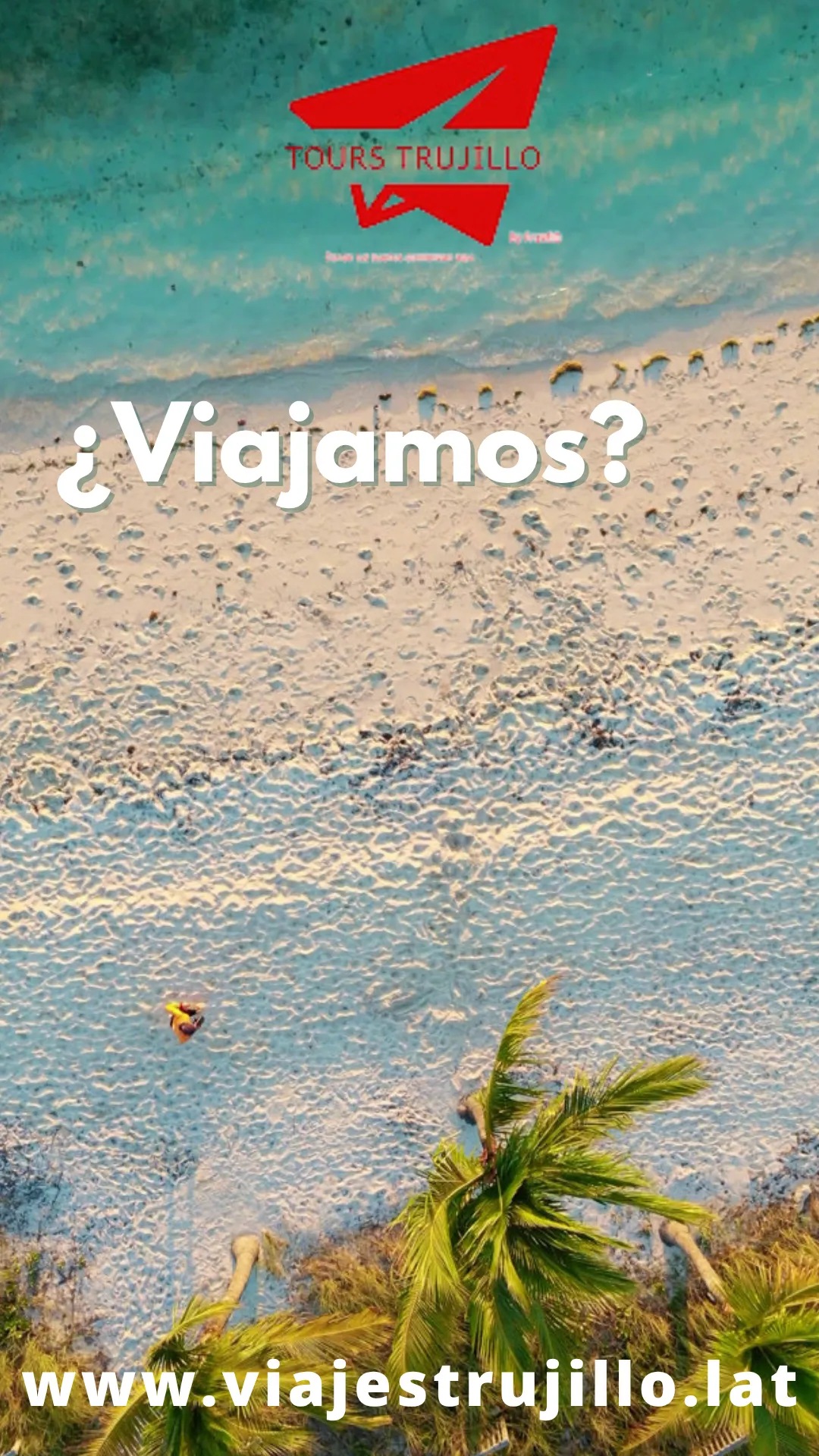 Diseño 41