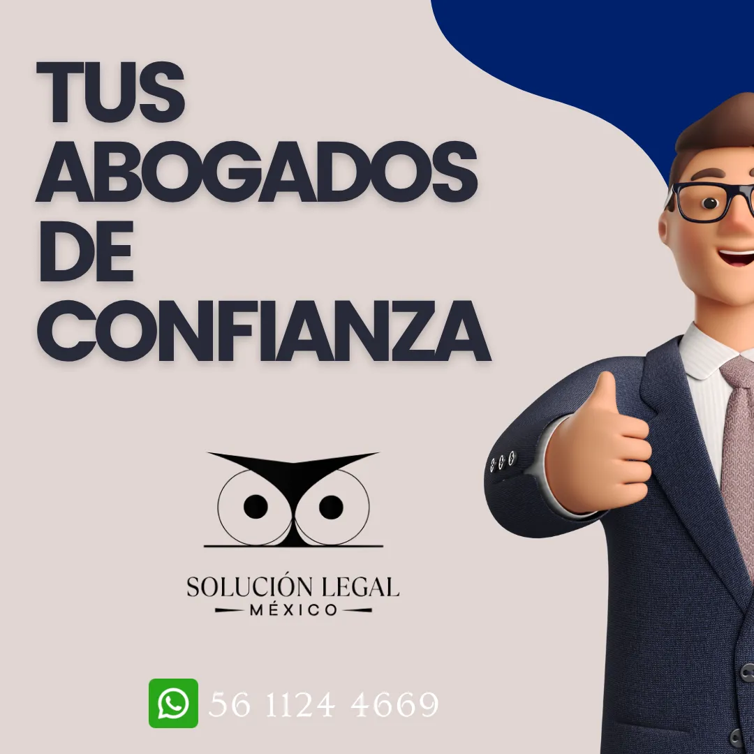 Diseño 55