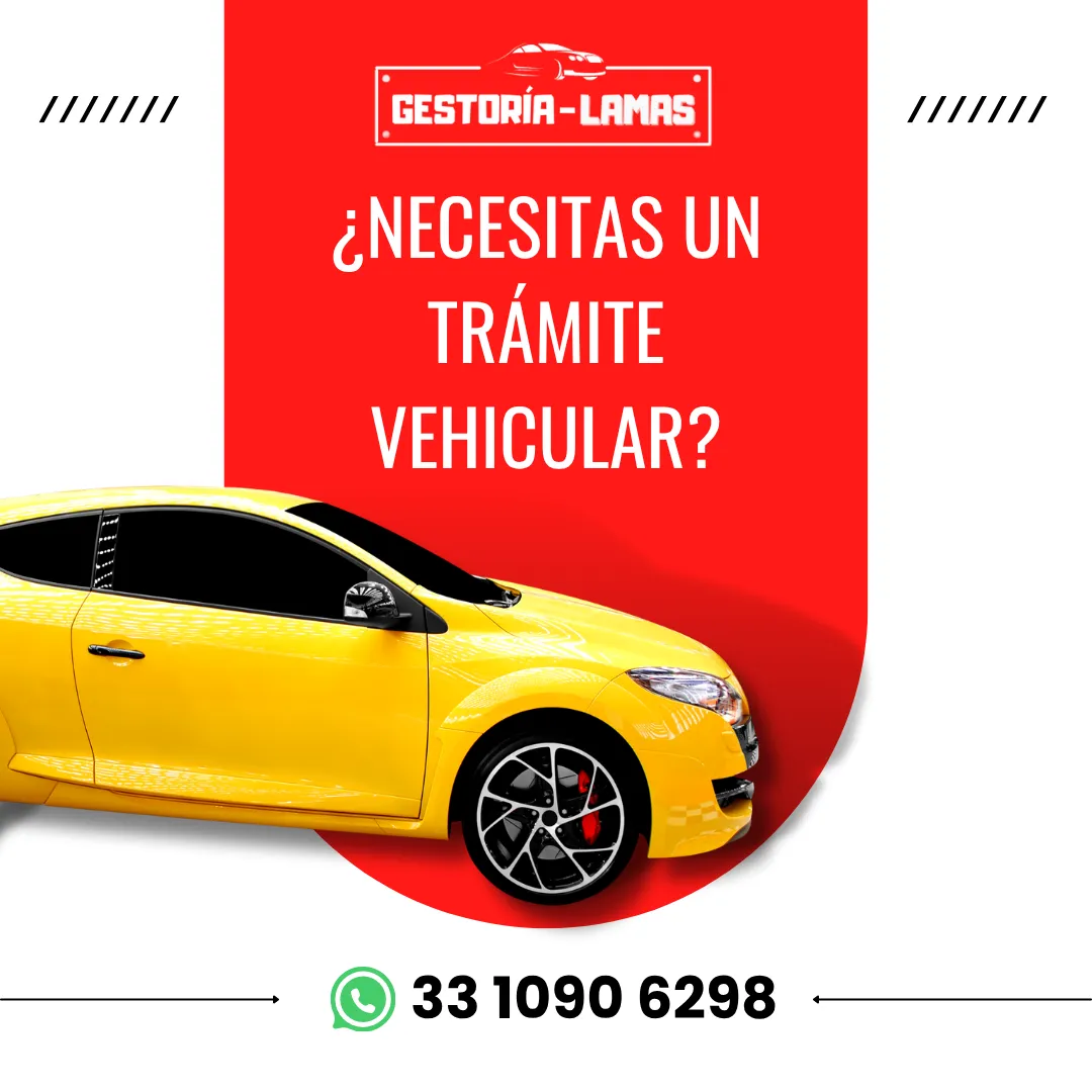 Diseño 15