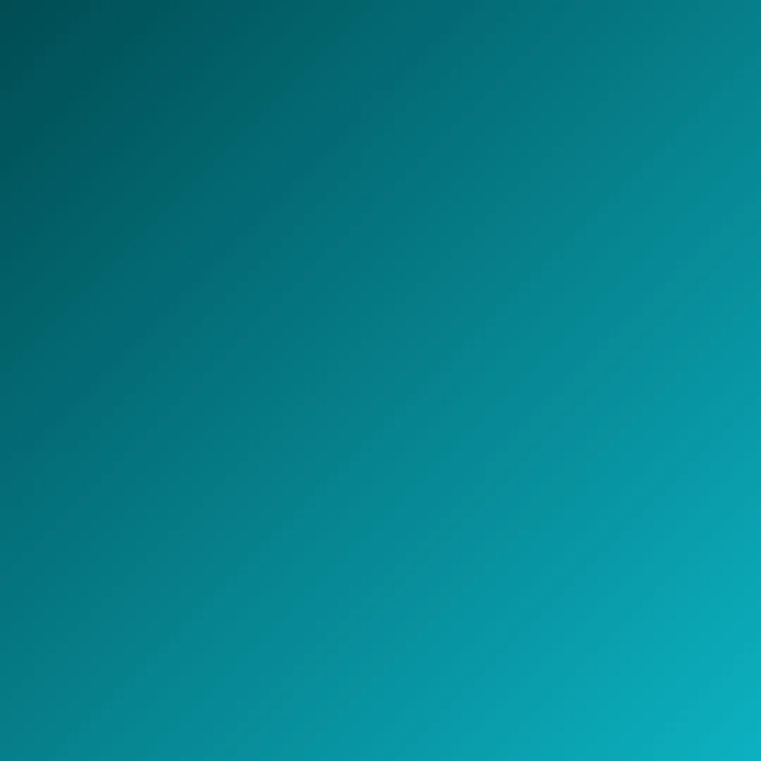 Diseño 53