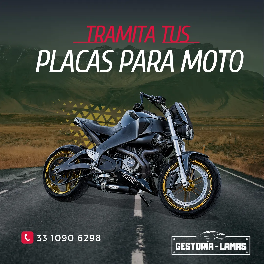 Diseño 41