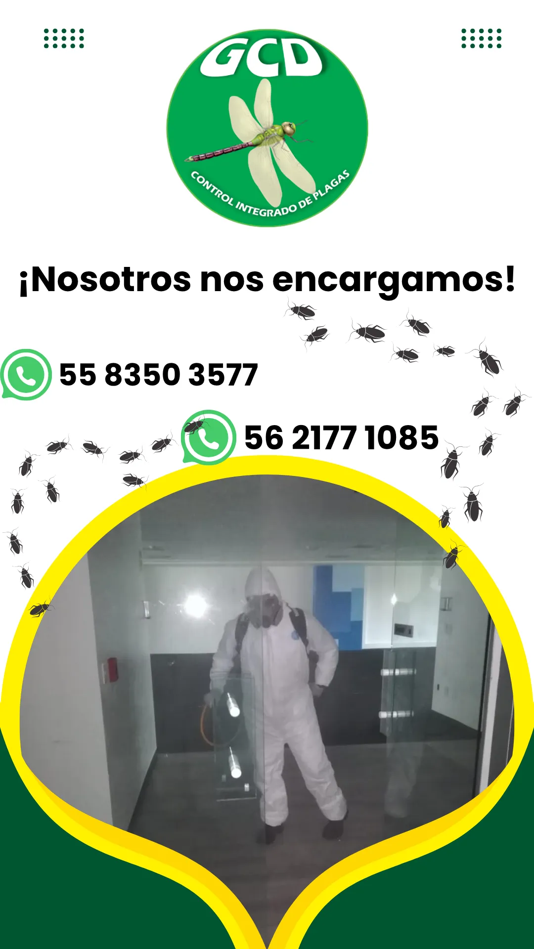 Diseño 135