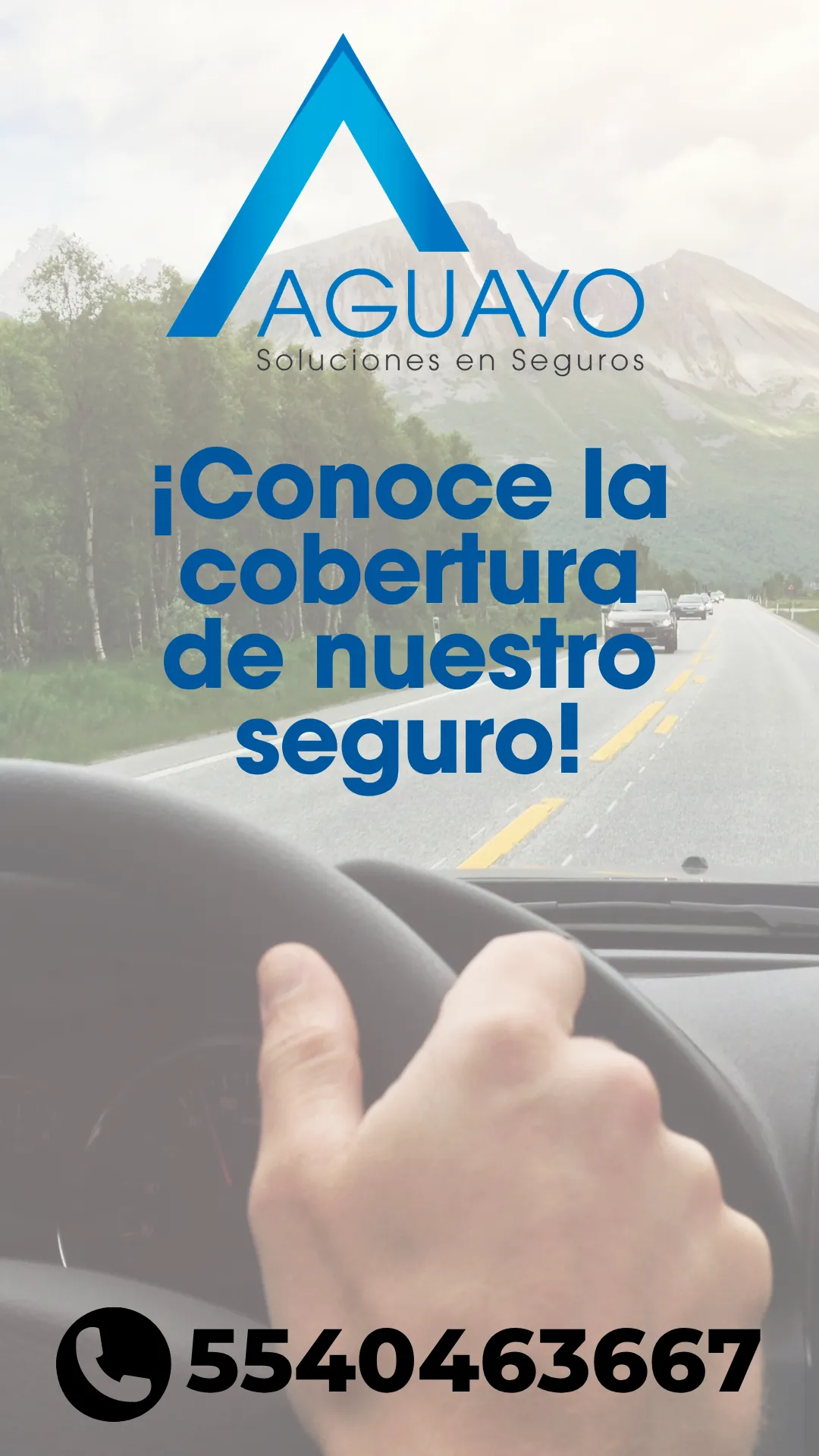 Diseño 5