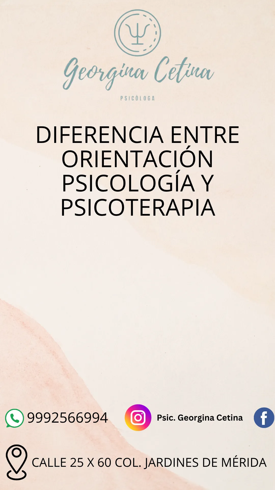 Diseño 51