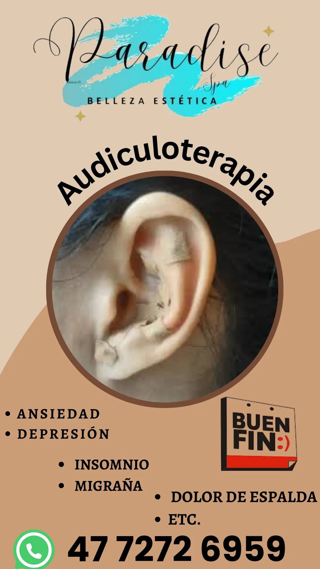 Diseño 6