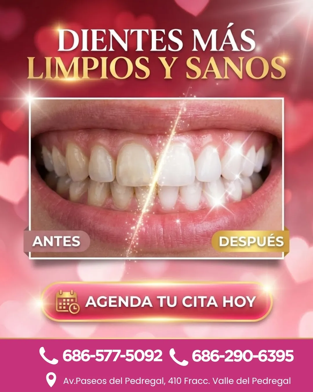 Diseño 44
