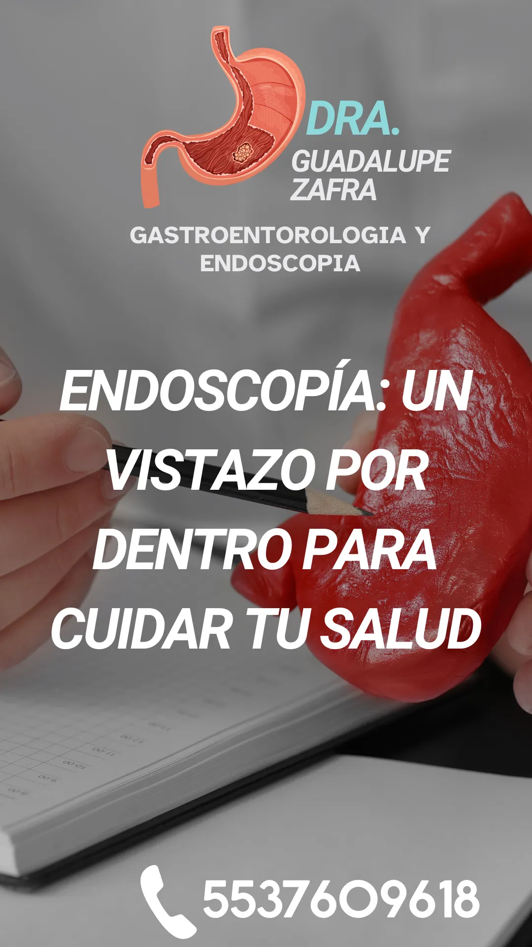Diseño 5