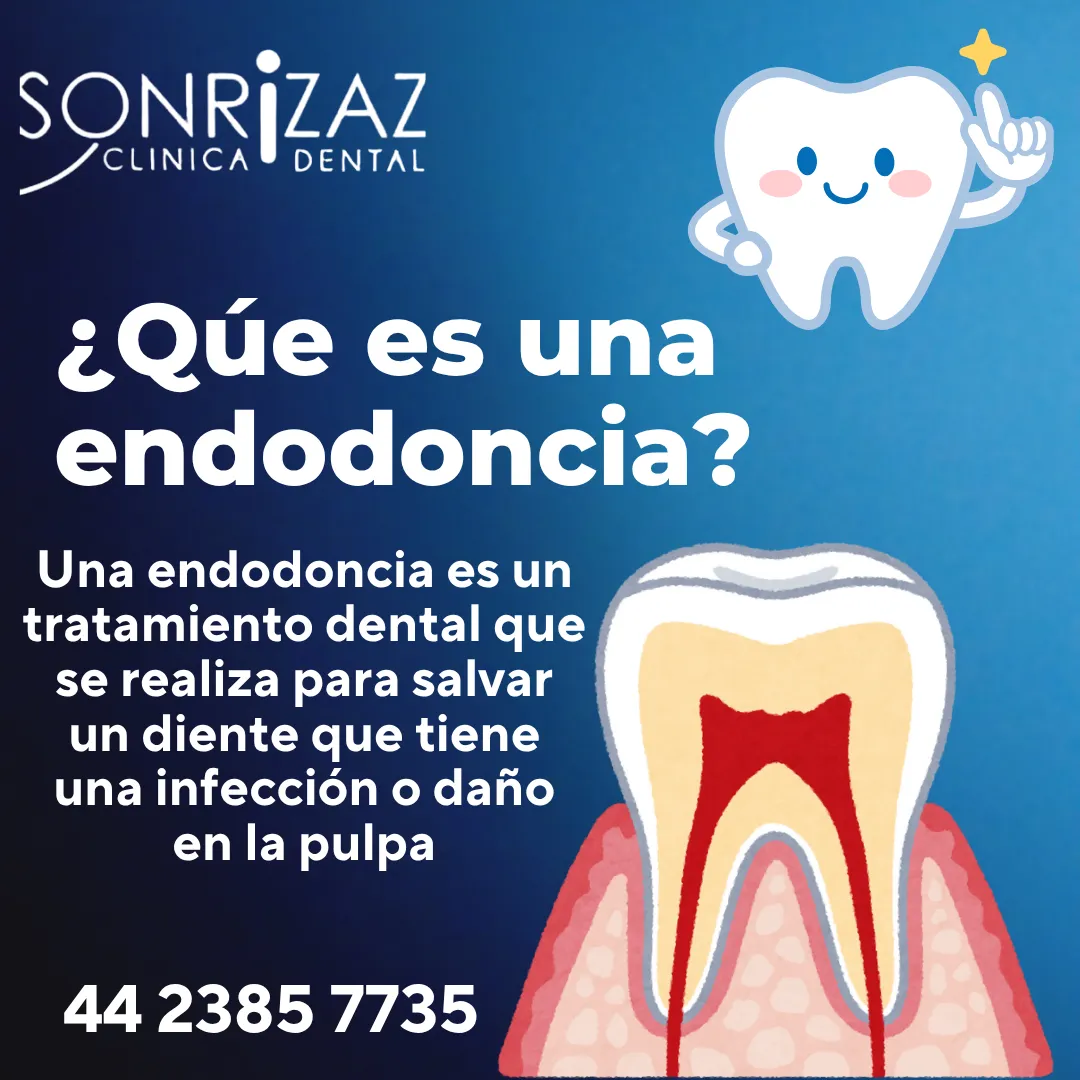 Diseño 148