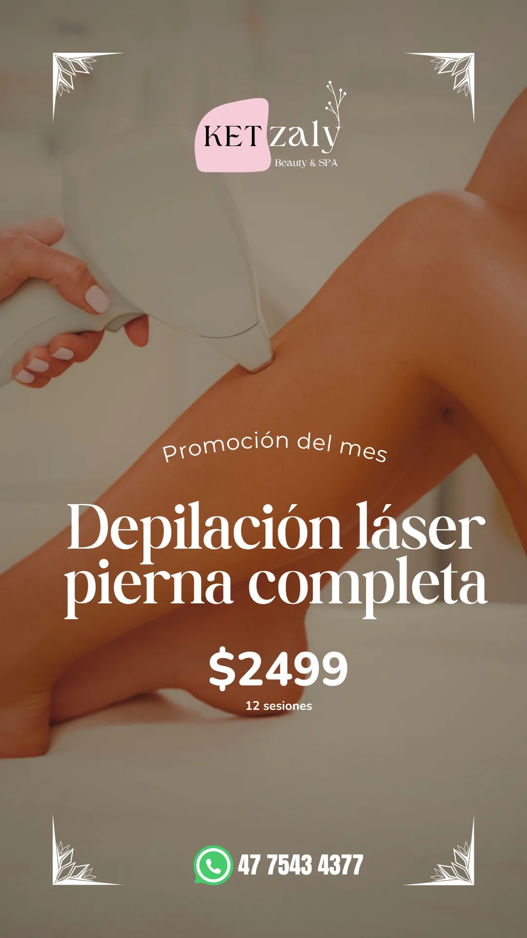 Diseño 62