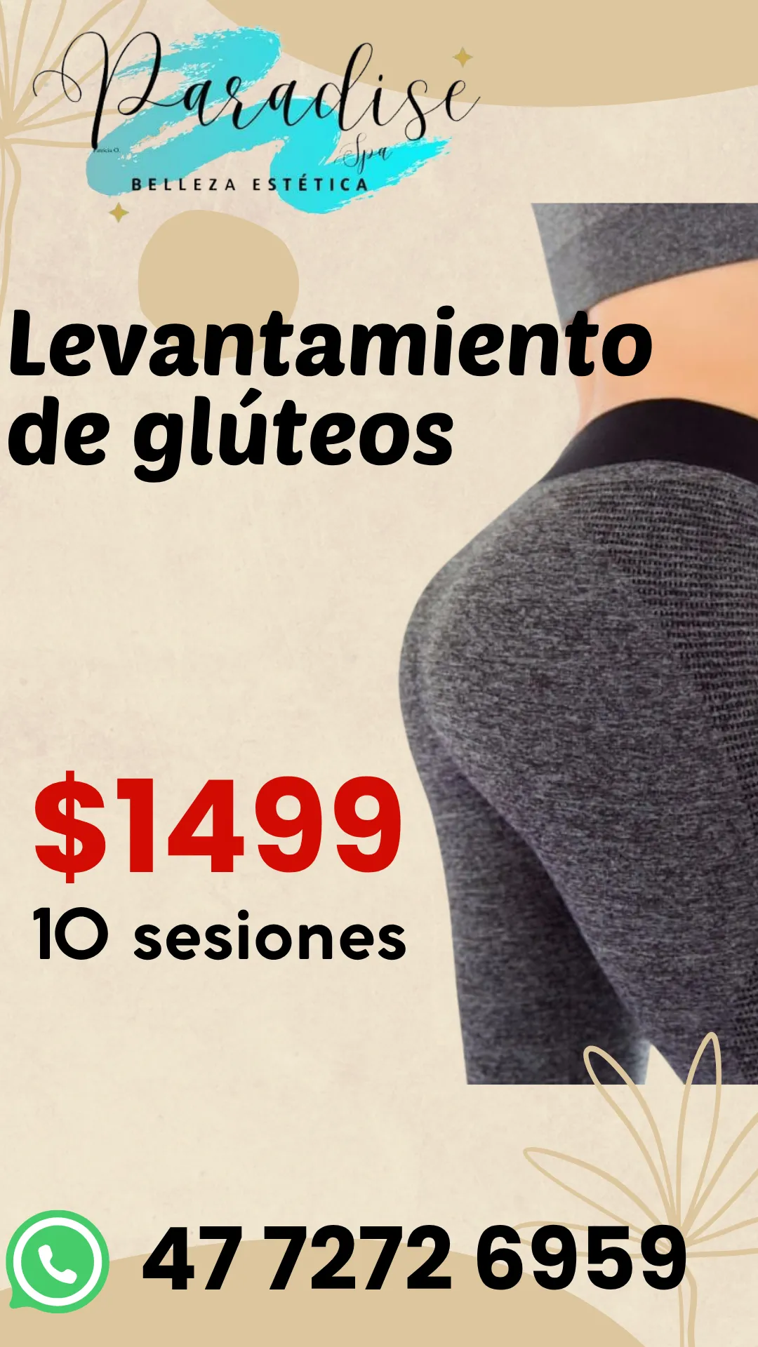 Diseño 81