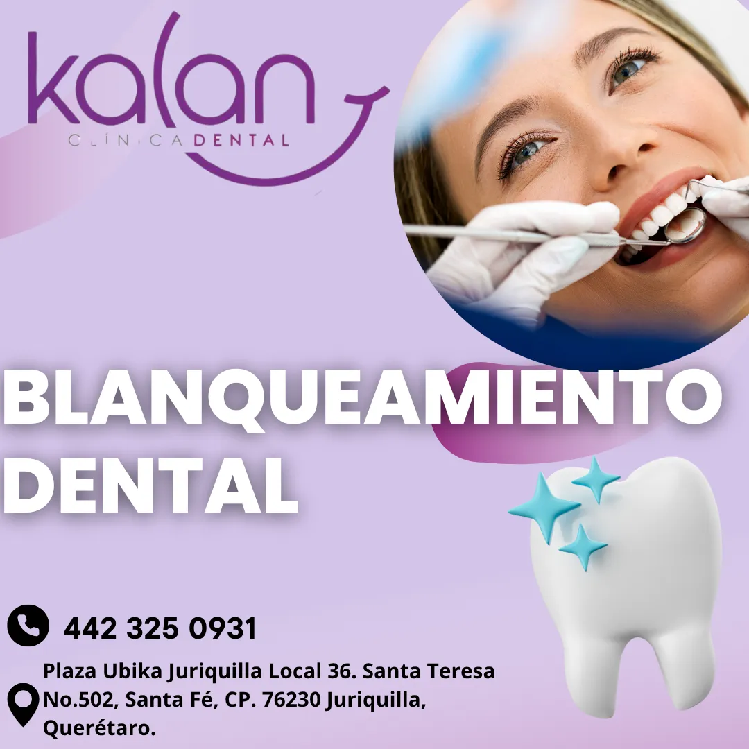 Diseño 49