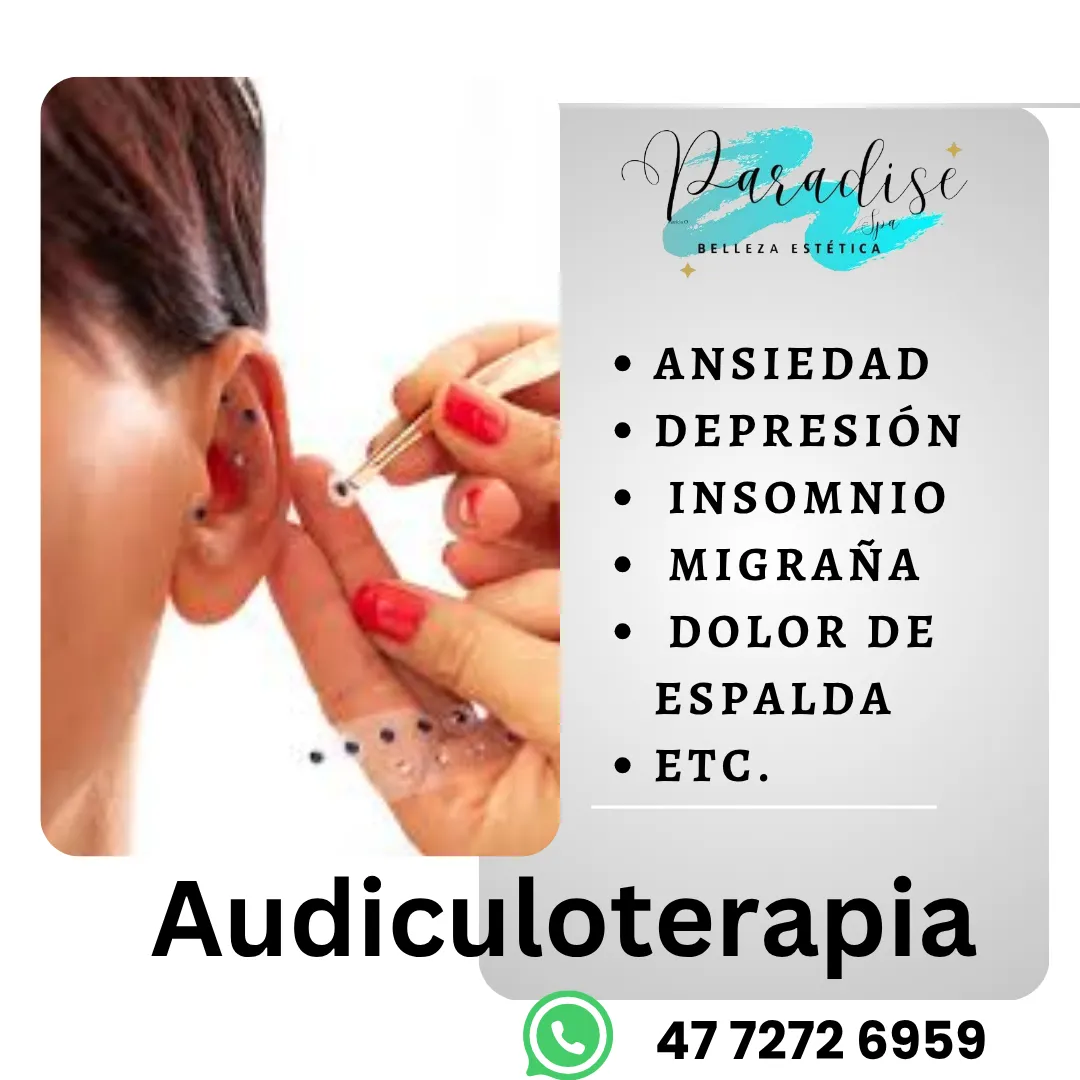 Diseño 122