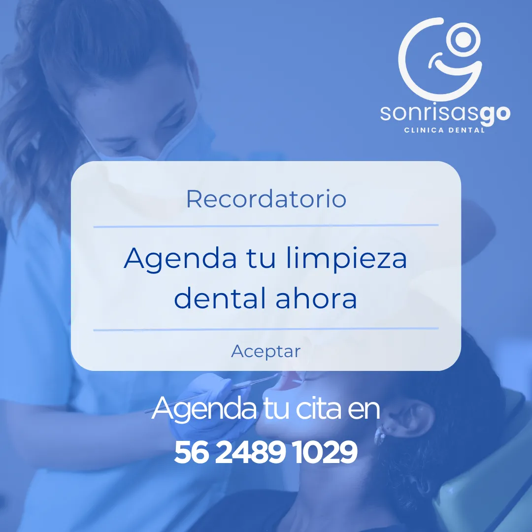 Diseño 83