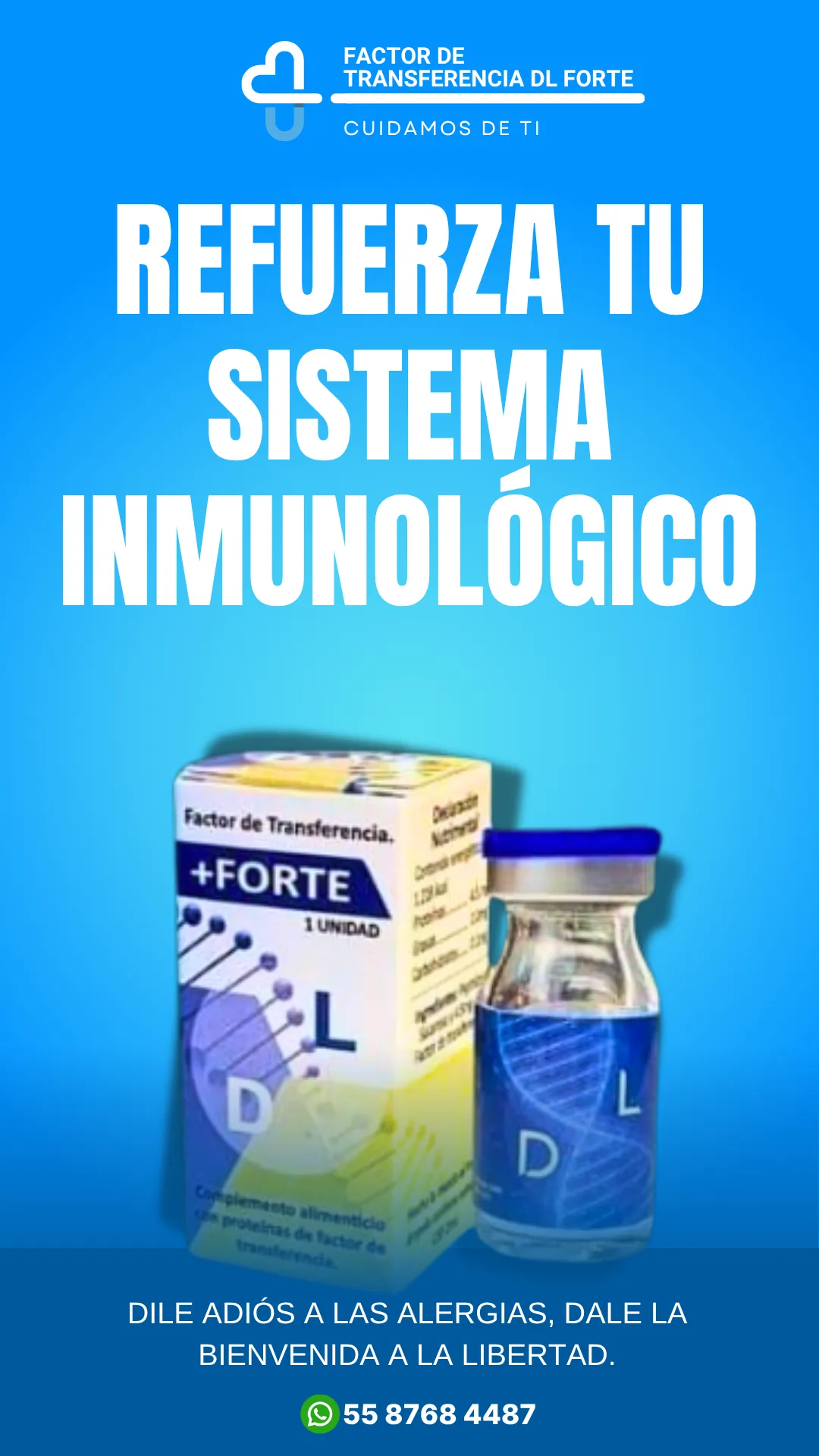Diseño 15