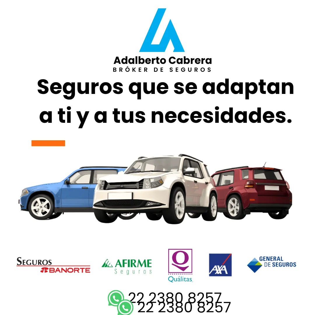 Diseño 25
