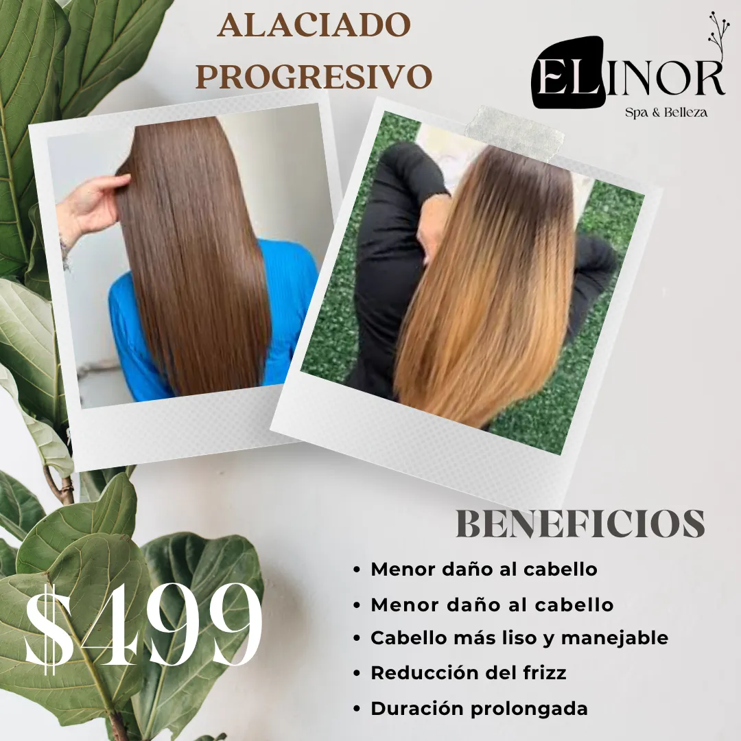 Diseño 66