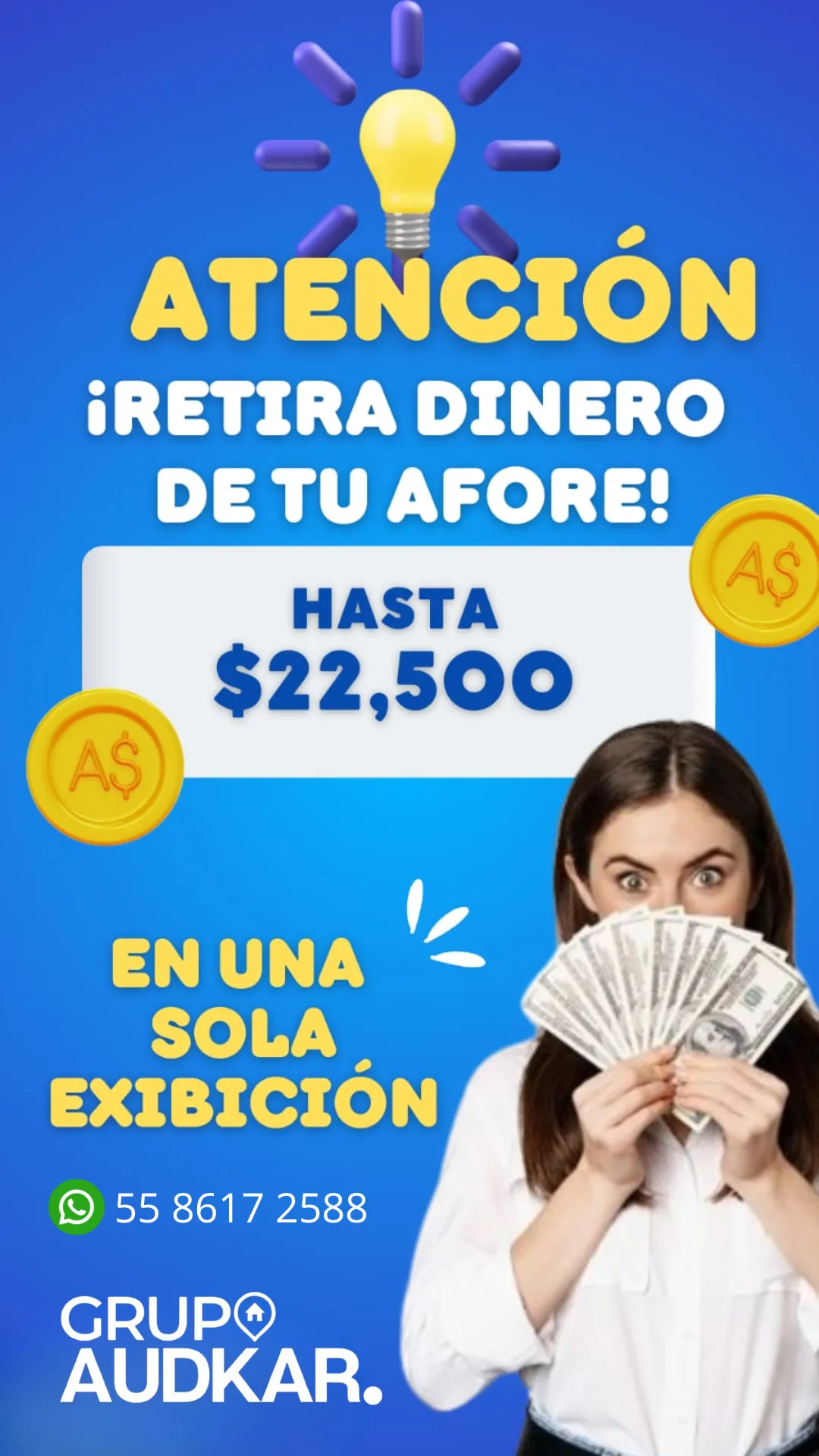 Diseño 18