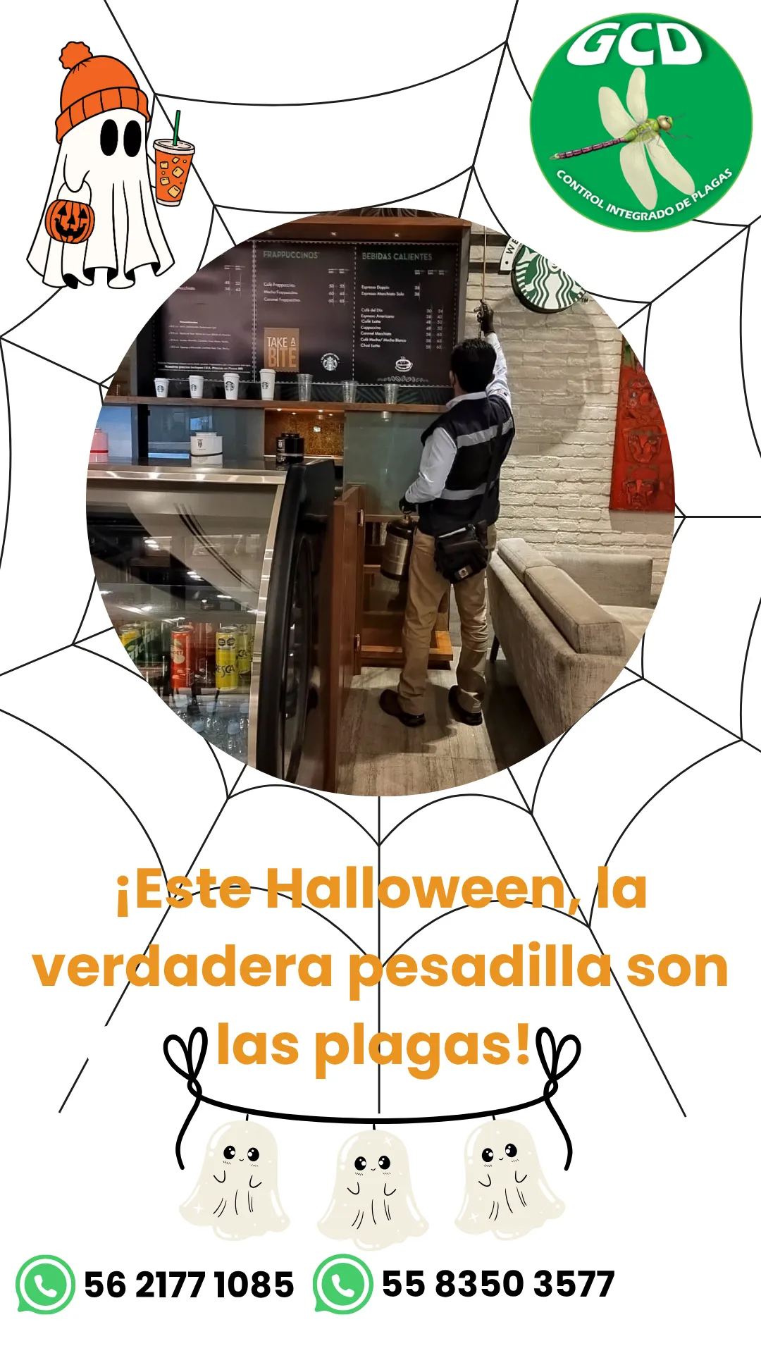 Diseño 109