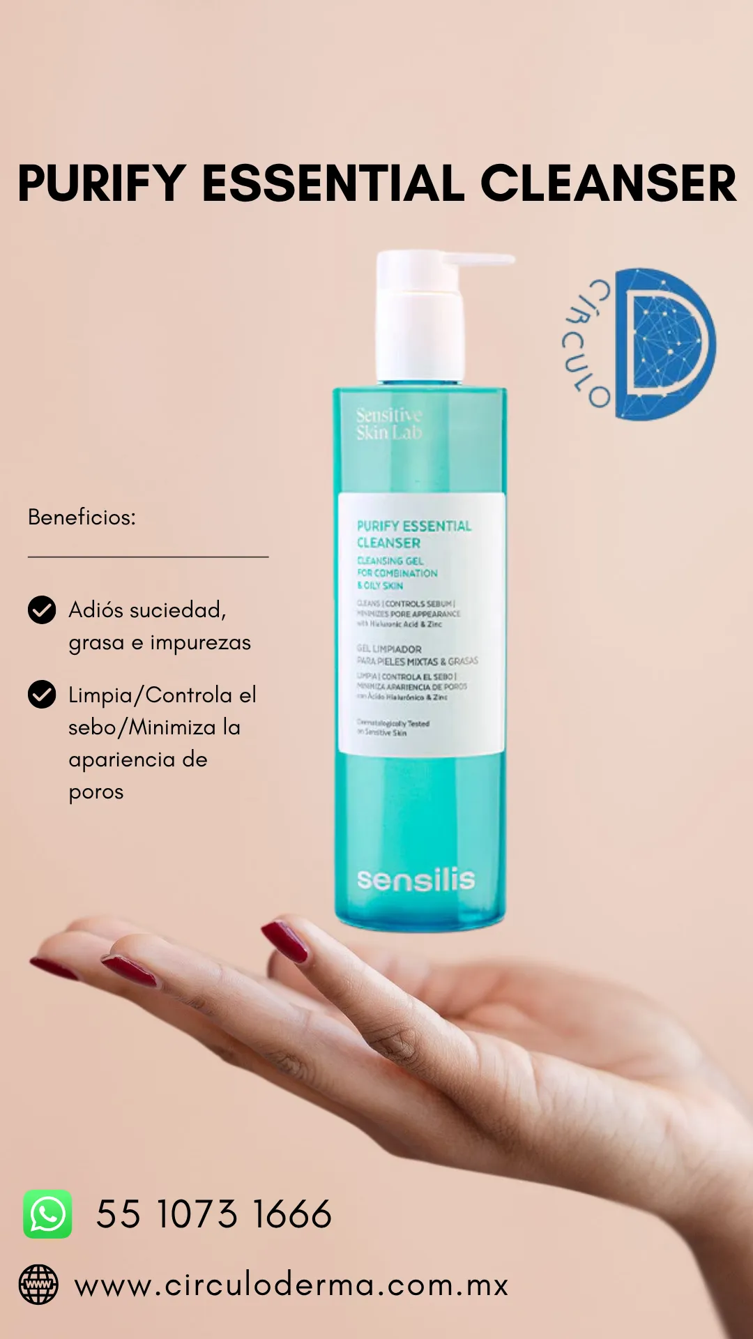 Diseño 65