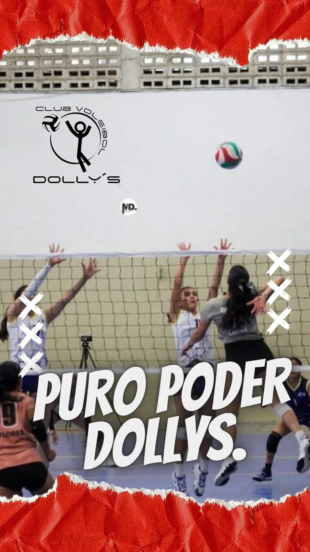 Diseño 24