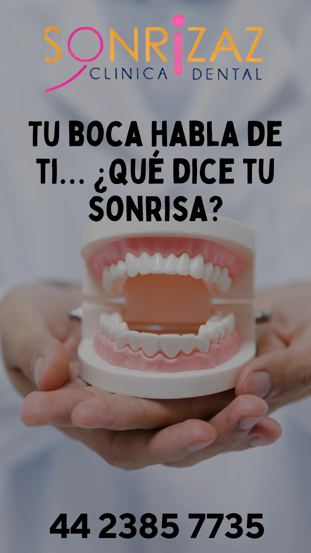 Diseño 26