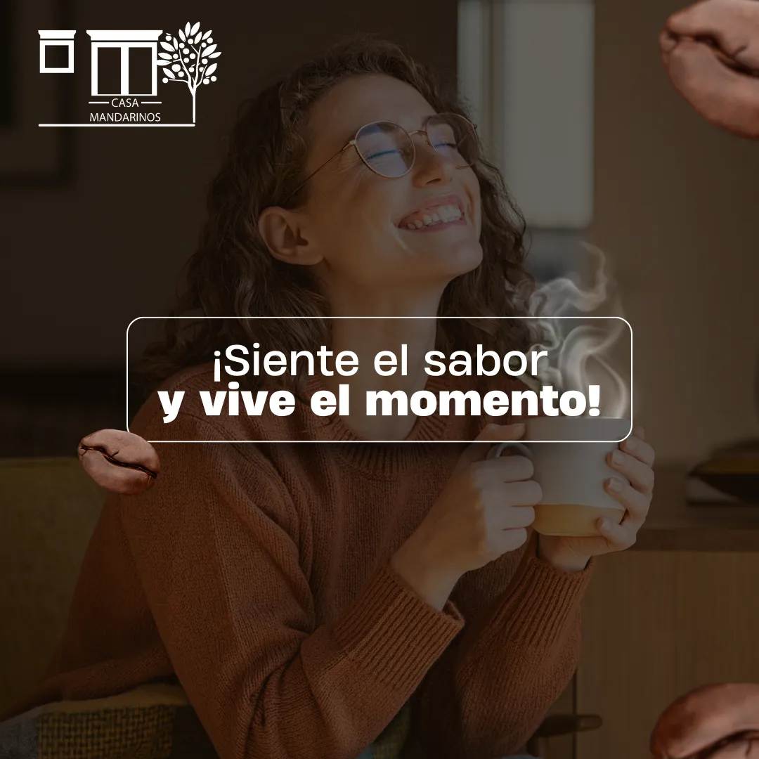 Diseño 17