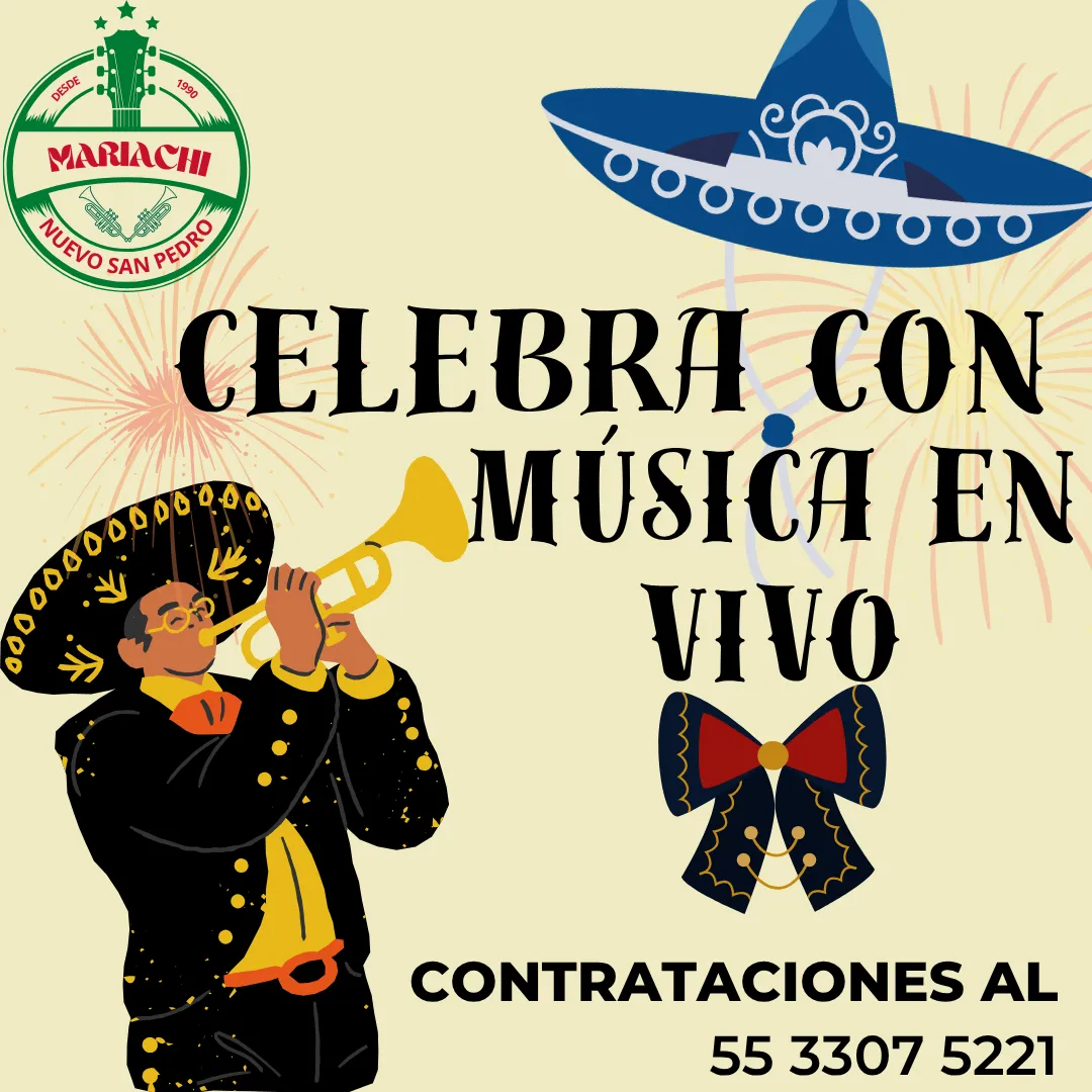 Diseño 61
