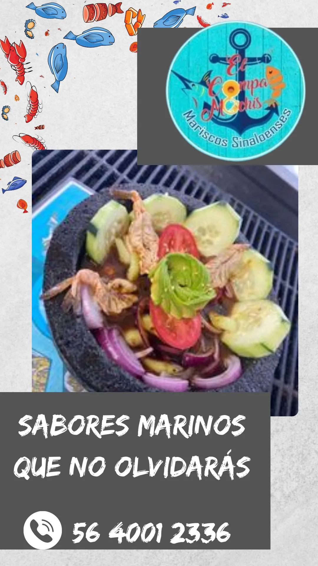 Diseño 17