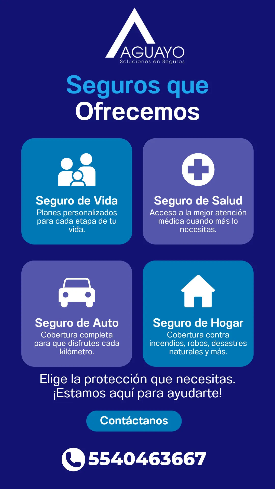 Diseño 25