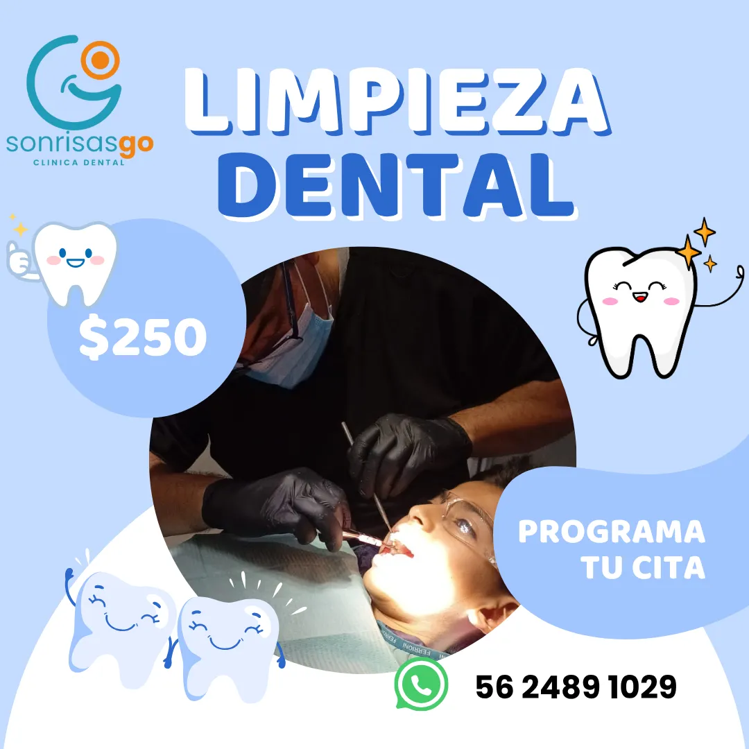 Diseño 52