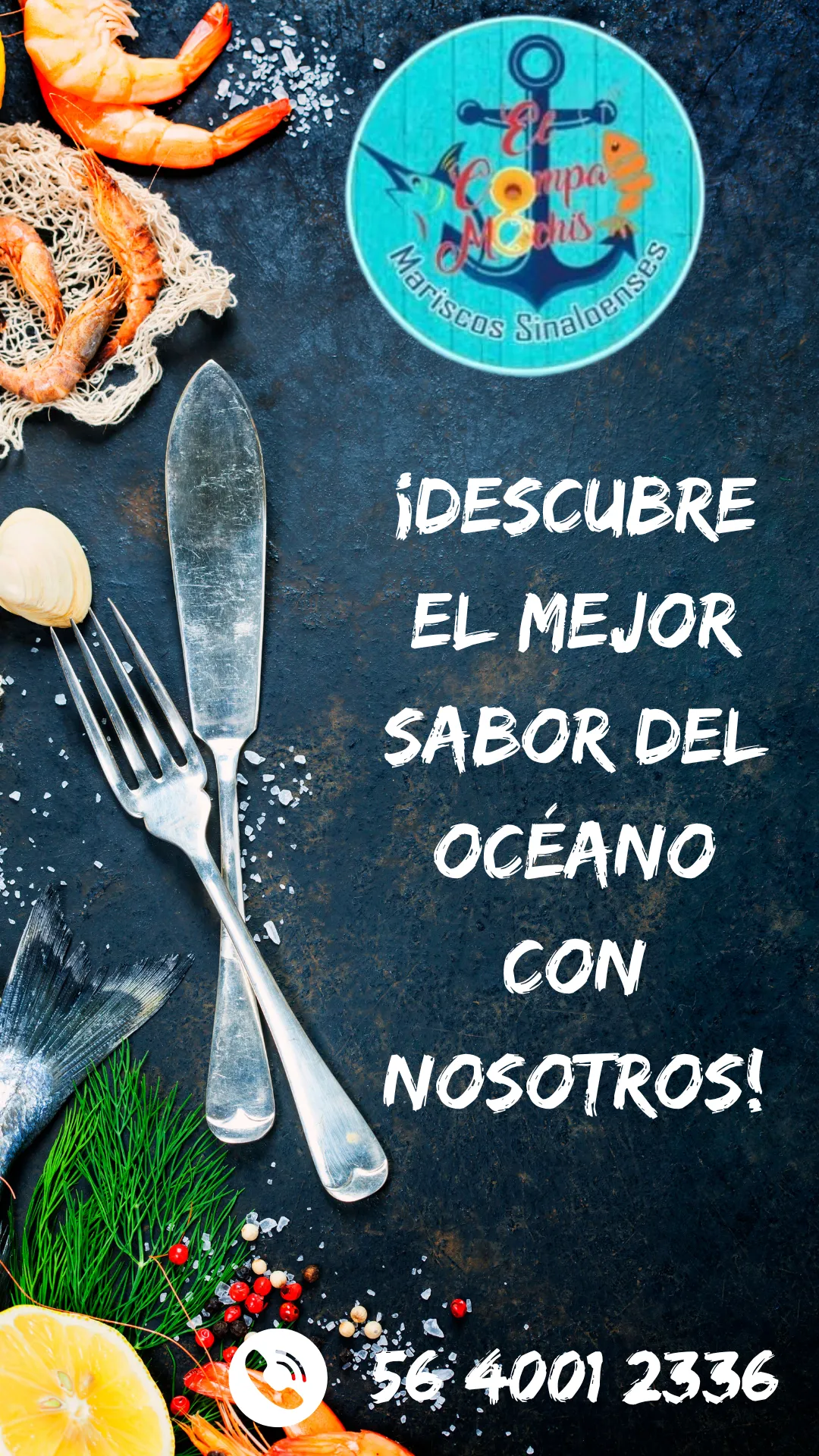 Diseño 10