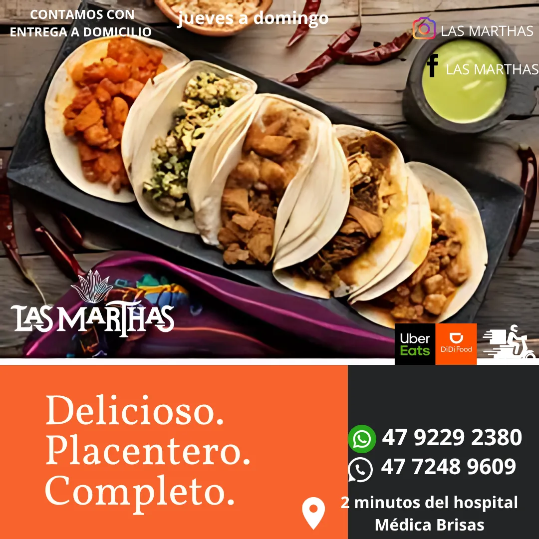 Diseño 15
