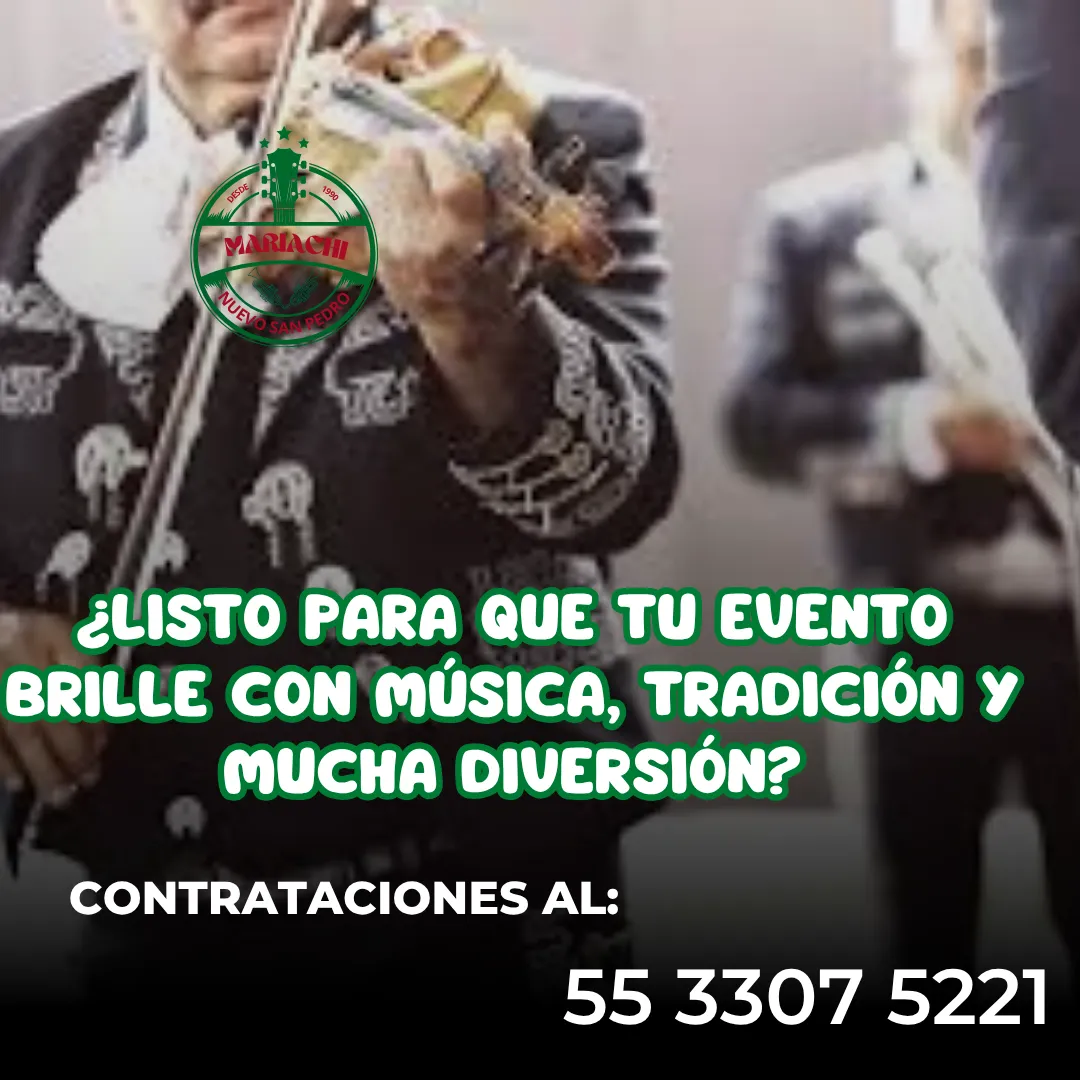Diseño 19
