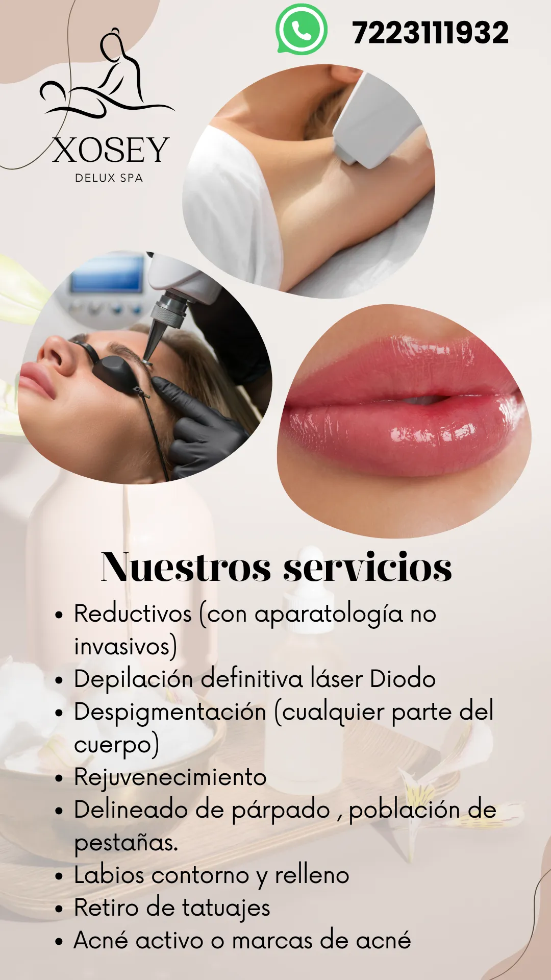 Diseño 7