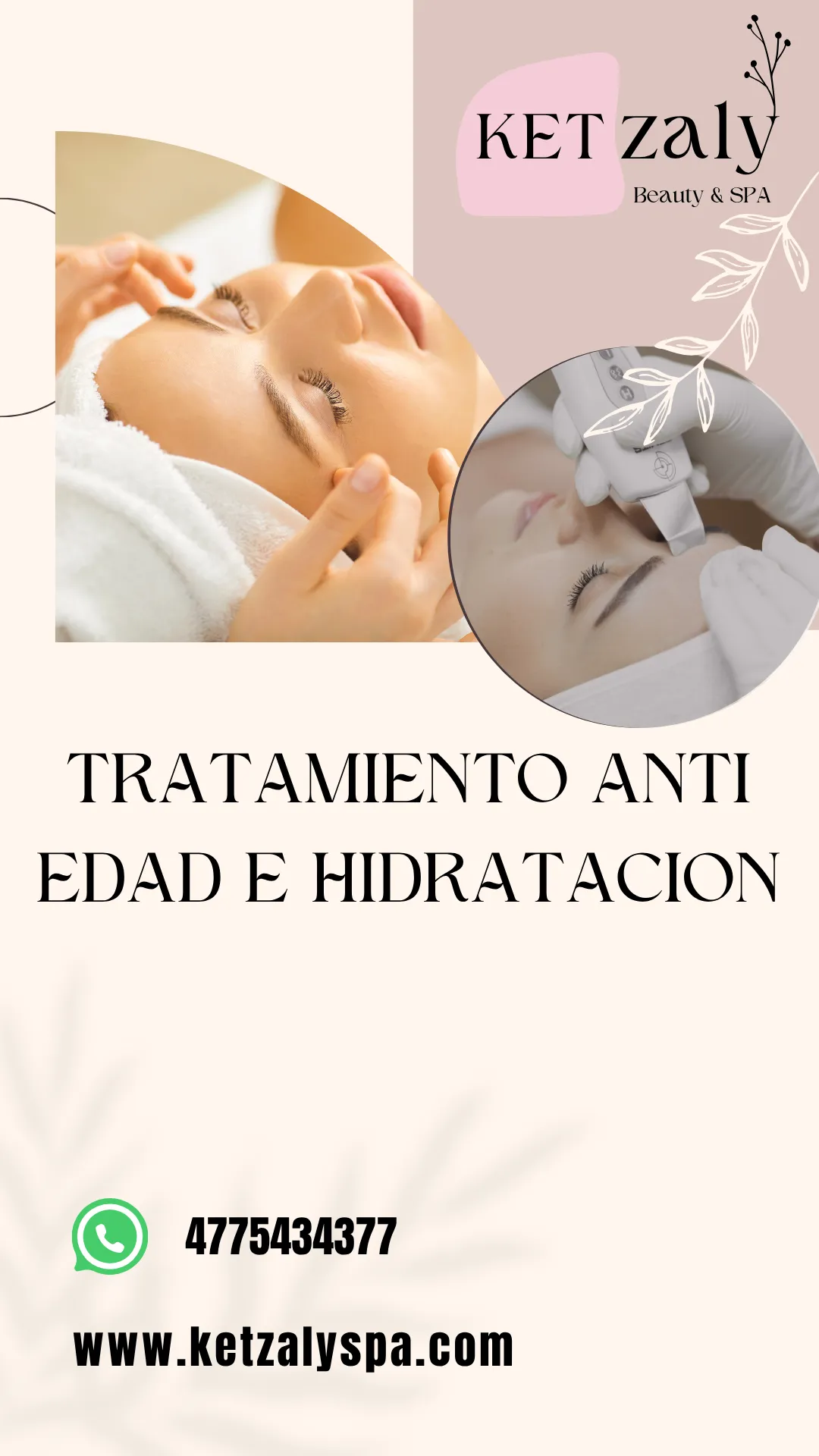 Diseño 45
