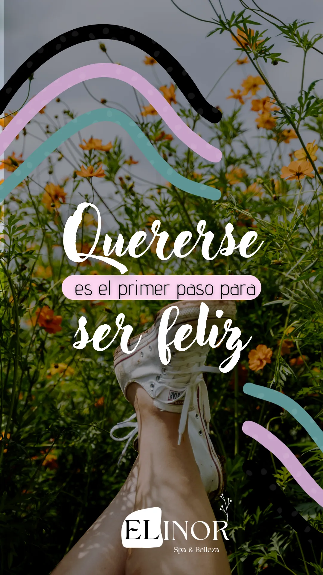 Diseño 88