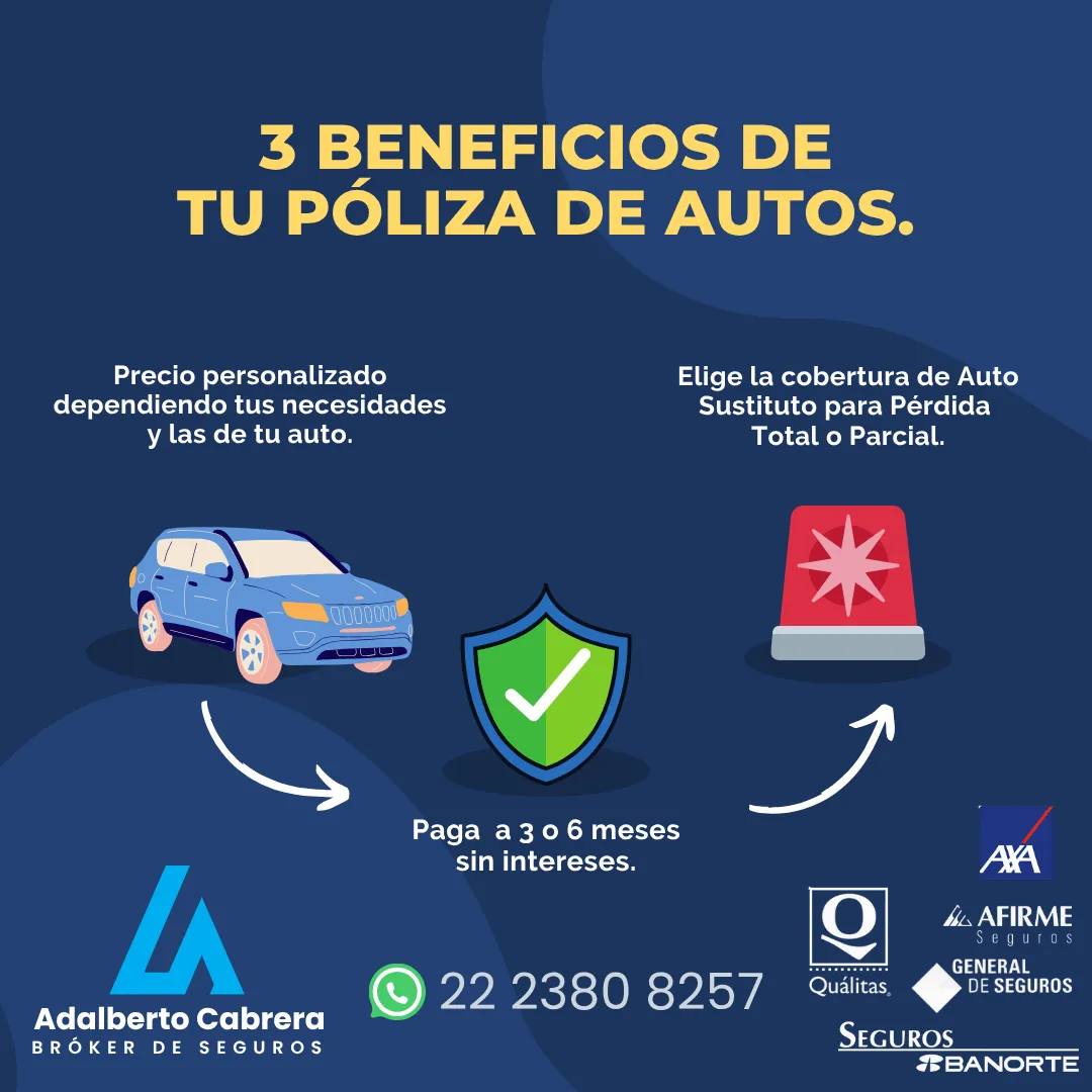 Diseño 16