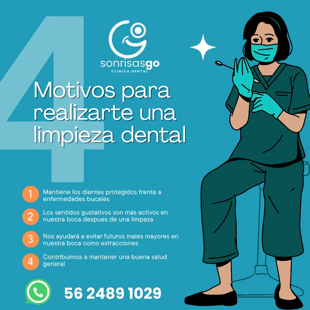 Diseño 8