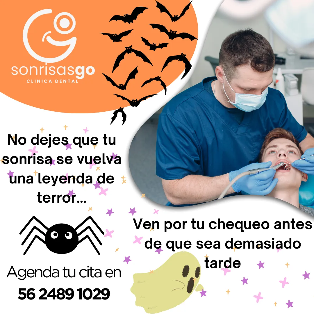 Diseño 146