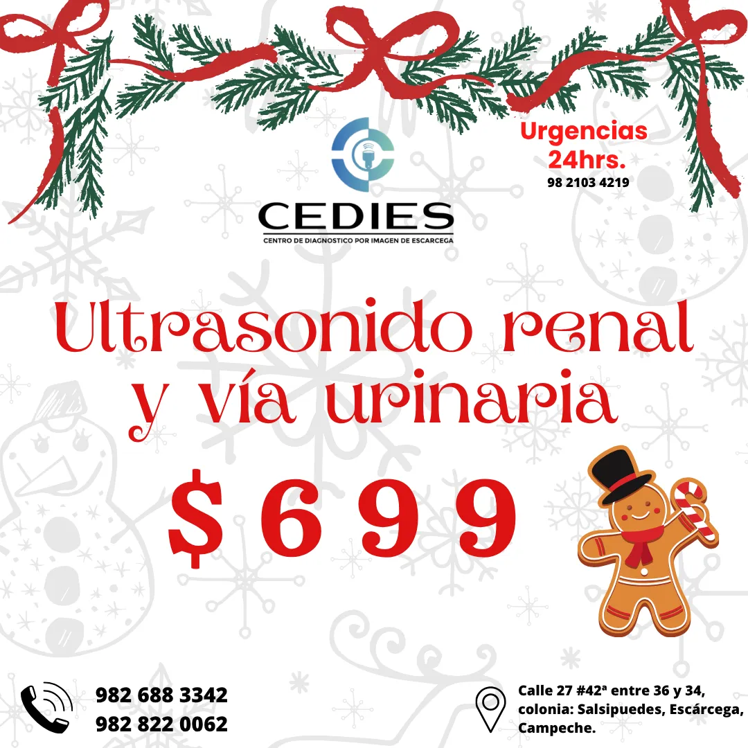 Diseño 81
