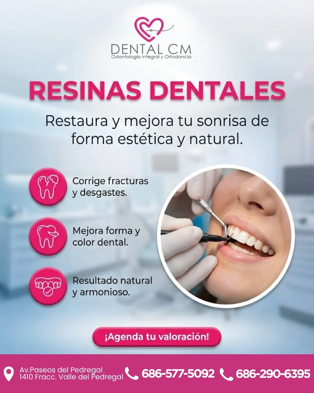 Diseño 51